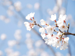 A-1 Home Care Upcoming Events